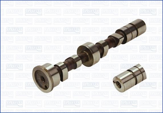 Wilmink Group WG1171305 Camshaft WG1171305: Buy near me in Poland at 2407.PL - Good price!