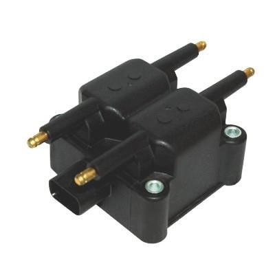 Wilmink Group WG1012525 Ignition coil WG1012525: Buy near me in Poland at 2407.PL - Good price!