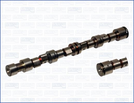 Wilmink Group WG1170789 Camshaft WG1170789: Buy near me in Poland at 2407.PL - Good price!