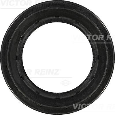 Wilmink Group WG1250043 Shaft Seal, differential WG1250043: Buy near me at 2407.PL in Poland at an Affordable price!