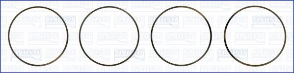 Wilmink Group WG1170242 O-rings for cylinder liners, kit WG1170242: Buy near me in Poland at 2407.PL - Good price!