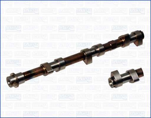 Wilmink Group WG1171011 Camshaft WG1171011: Buy near me in Poland at 2407.PL - Good price!