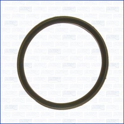 Wilmink Group WG1751396 Termostat gasket WG1751396: Buy near me in Poland at 2407.PL - Good price!