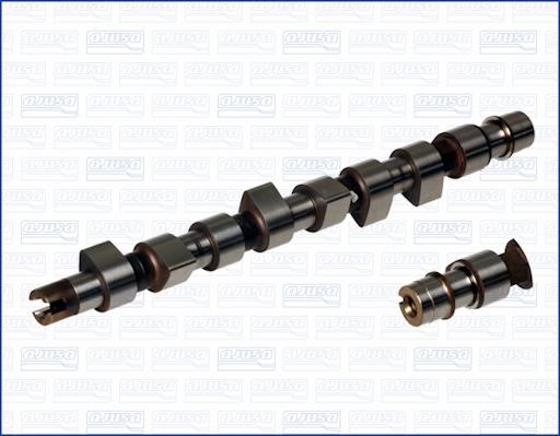 Wilmink Group WG1171379 Camshaft WG1171379: Buy near me in Poland at 2407.PL - Good price!