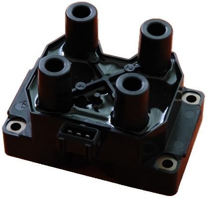 Wilmink Group WG1012215 Ignition coil WG1012215: Buy near me in Poland at 2407.PL - Good price!