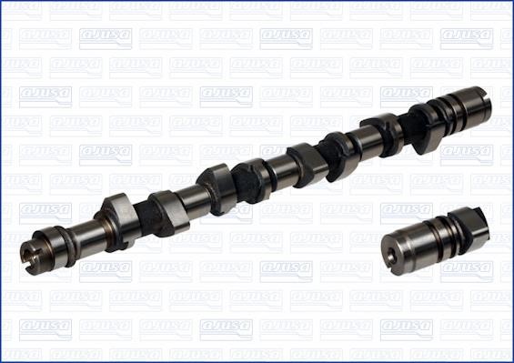 Wilmink Group WG1171474 Camshaft WG1171474: Buy near me in Poland at 2407.PL - Good price!