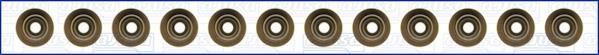 Wilmink Group WG1455797 Valve oil seals, kit WG1455797: Buy near me in Poland at 2407.PL - Good price!