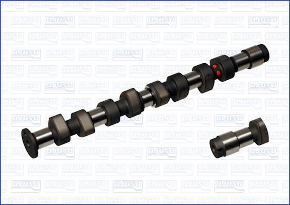 Wilmink Group WG1171013 Camshaft WG1171013: Buy near me at 2407.PL in Poland at an Affordable price!