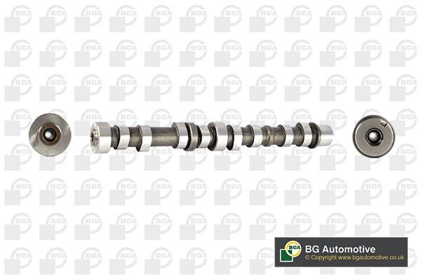 Wilmink Group WG1490485 Camshaft WG1490485: Buy near me in Poland at 2407.PL - Good price!