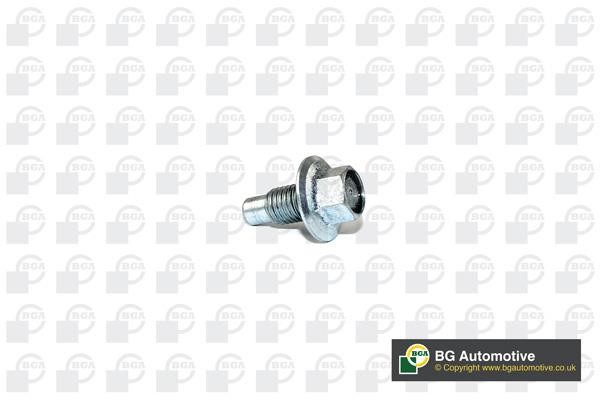 Wilmink Group WG1766663 Sump plug WG1766663: Buy near me at 2407.PL in Poland at an Affordable price!