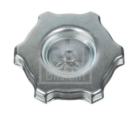 Wilmink Group WG2185878 Oil filler cap WG2185878: Buy near me in Poland at 2407.PL - Good price!