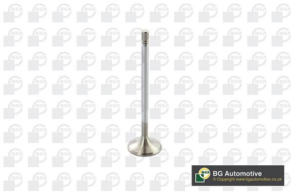 Wilmink Group WG1814474 Intake valve WG1814474: Buy near me at 2407.PL in Poland at an Affordable price!