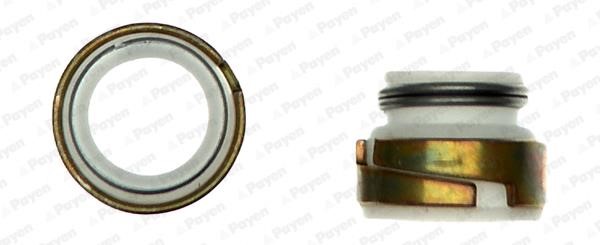 Wilmink Group WG1181236 Valve oil seals, kit WG1181236: Buy near me in Poland at 2407.PL - Good price!