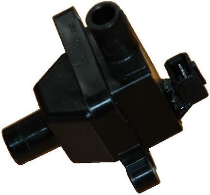 Wilmink Group WG1012169 Ignition coil WG1012169: Buy near me at 2407.PL in Poland at an Affordable price!