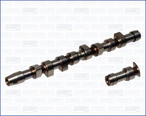 Wilmink Group WG1170972 Camshaft WG1170972: Buy near me in Poland at 2407.PL - Good price!