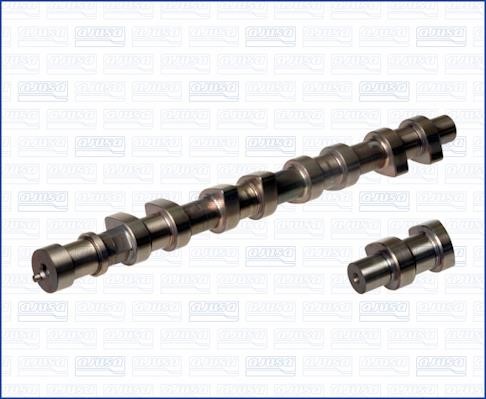 Wilmink Group WG1170862 Camshaft WG1170862: Buy near me in Poland at 2407.PL - Good price!