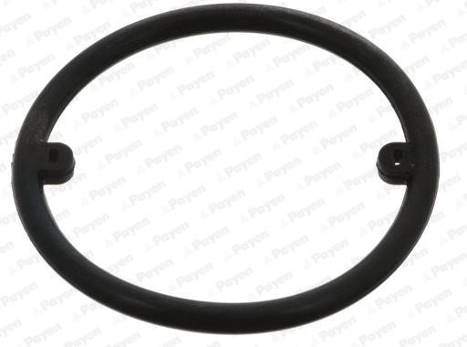 Wilmink Group WG1177336 Ring sealing WG1177336: Buy near me in Poland at 2407.PL - Good price!