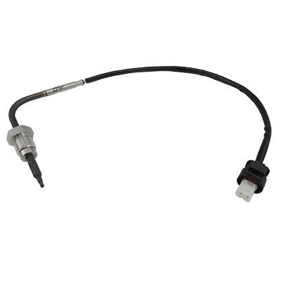 Wilmink Group WG1964685 Exhaust gas temperature sensor WG1964685: Buy near me in Poland at 2407.PL - Good price!