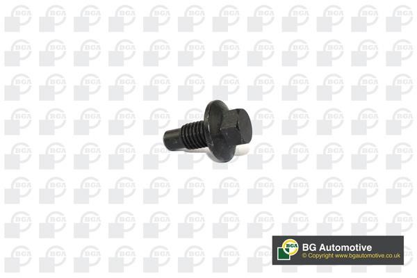 Wilmink Group WG1766649 Sump plug WG1766649: Buy near me in Poland at 2407.PL - Good price!