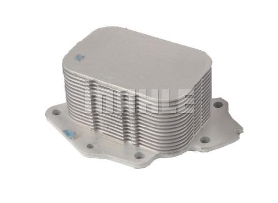 Wilmink Group WG2181250 Oil Cooler, engine oil WG2181250: Buy near me in Poland at 2407.PL - Good price!