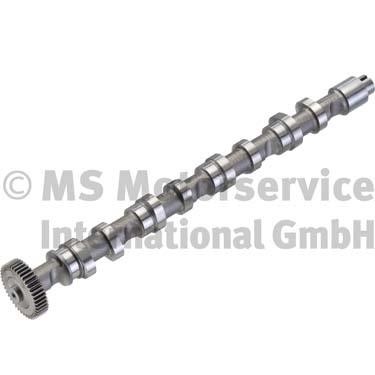 Wilmink Group WG1380596 Camshaft WG1380596: Buy near me in Poland at 2407.PL - Good price!