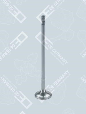 Wilmink Group WG1484891 Intake valve WG1484891: Buy near me at 2407.PL in Poland at an Affordable price!