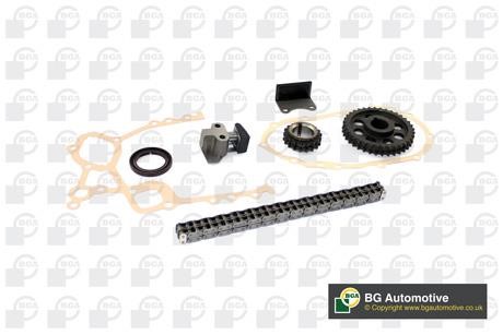 Wilmink Group WG1488231 Timing chain kit WG1488231: Buy near me in Poland at 2407.PL - Good price!