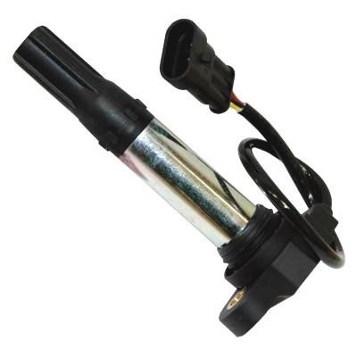 Wilmink Group WG1012498 Ignition coil WG1012498: Buy near me in Poland at 2407.PL - Good price!