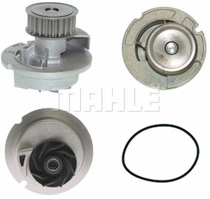 Wilmink Group WG2181387 Water pump WG2181387: Buy near me at 2407.PL in Poland at an Affordable price!