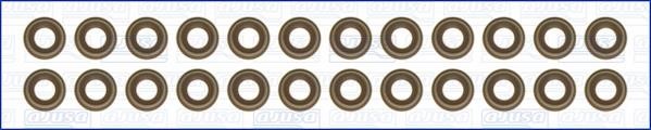 Wilmink Group WG1455813 Valve oil seals, kit WG1455813: Buy near me in Poland at 2407.PL - Good price!