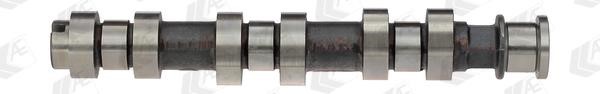 Wilmink Group WG1093072 Camshaft WG1093072: Buy near me in Poland at 2407.PL - Good price!