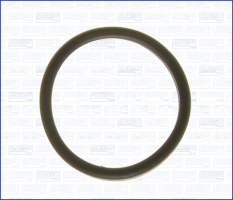 Wilmink Group WG1751409 Termostat gasket WG1751409: Buy near me in Poland at 2407.PL - Good price!