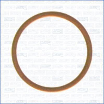 Wilmink Group WG1452003 Ring sealing WG1452003: Buy near me in Poland at 2407.PL - Good price!