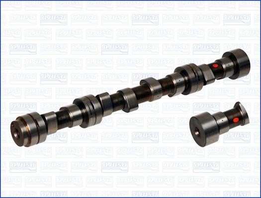 Wilmink Group WG1171499 Camshaft WG1171499: Buy near me in Poland at 2407.PL - Good price!