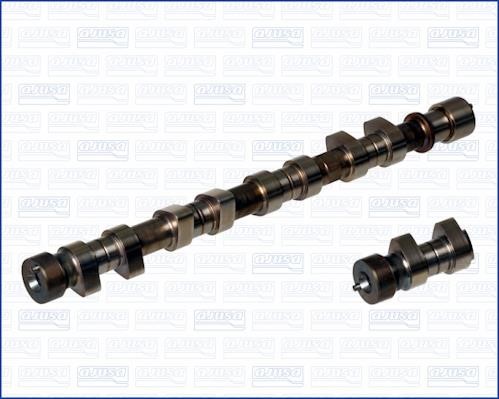 Wilmink Group WG1170994 Camshaft WG1170994: Buy near me in Poland at 2407.PL - Good price!