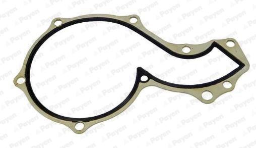 Wilmink Group WG1182863 Gasket, water pump WG1182863: Buy near me at 2407.PL in Poland at an Affordable price!