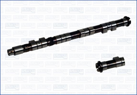 Wilmink Group WG1171575 Camshaft WG1171575: Buy near me at 2407.PL in Poland at an Affordable price!