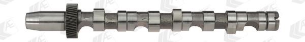 Wilmink Group WG1093066 Camshaft WG1093066: Buy near me in Poland at 2407.PL - Good price!