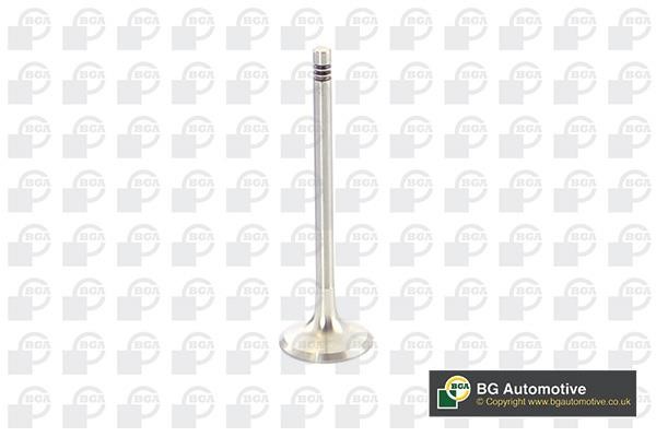 Wilmink Group WG1814493 Exhaust valve WG1814493: Buy near me in Poland at 2407.PL - Good price!