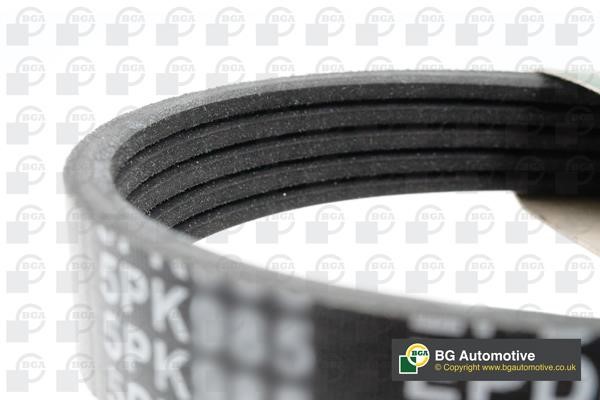 Wilmink Group WG1990853 V-Ribbed Belt WG1990853: Buy near me in Poland at 2407.PL - Good price!