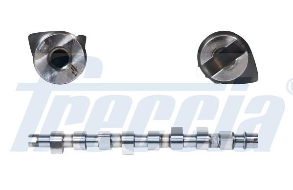 Wilmink Group WG1155326 Camshaft WG1155326: Buy near me at 2407.PL in Poland at an Affordable price!