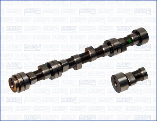 Wilmink Group WG1171422 Camshaft WG1171422: Buy near me in Poland at 2407.PL - Good price!