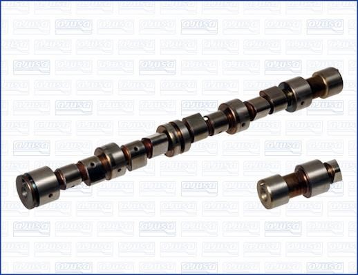 Wilmink Group WG1170863 Camshaft WG1170863: Buy near me in Poland at 2407.PL - Good price!