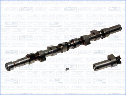 Wilmink Group WG1171253 Camshaft WG1171253: Buy near me in Poland at 2407.PL - Good price!