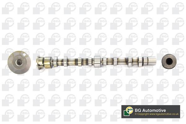 Wilmink Group WG1907188 Camshaft WG1907188: Buy near me at 2407.PL in Poland at an Affordable price!