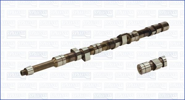 Wilmink Group WG1171291 Camshaft WG1171291: Buy near me in Poland at 2407.PL - Good price!