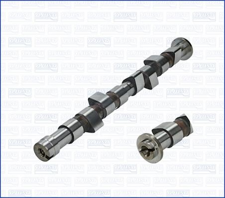Wilmink Group WG1171027 Camshaft WG1171027: Buy near me in Poland at 2407.PL - Good price!