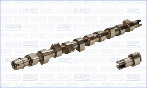 Wilmink Group WG1171310 Camshaft WG1171310: Buy near me in Poland at 2407.PL - Good price!