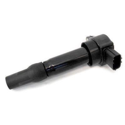 Wilmink Group WG1012419 Ignition coil WG1012419: Buy near me in Poland at 2407.PL - Good price!
