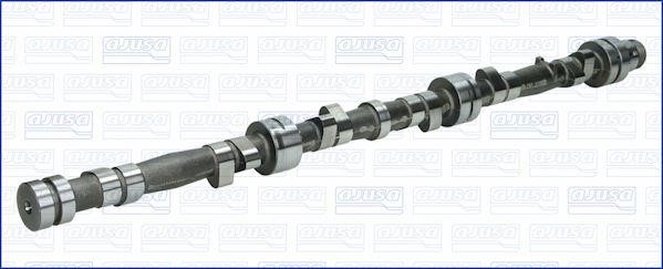 Wilmink Group WG1170938 Camshaft WG1170938: Buy near me in Poland at 2407.PL - Good price!